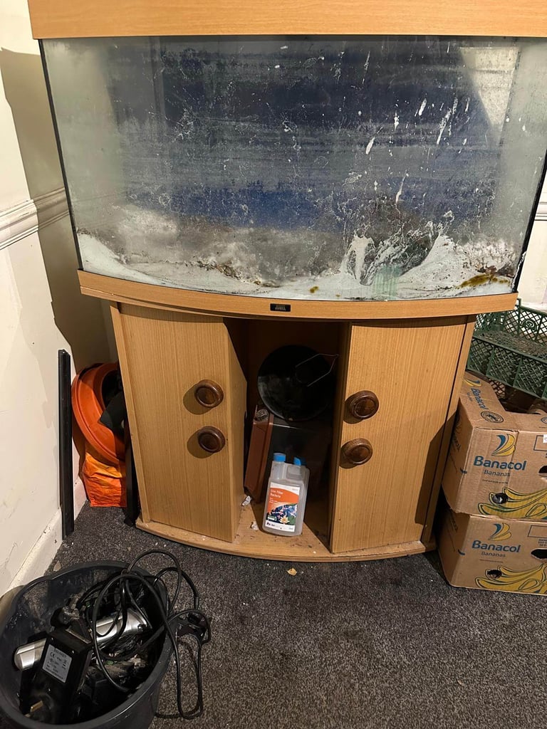 Free fish tank