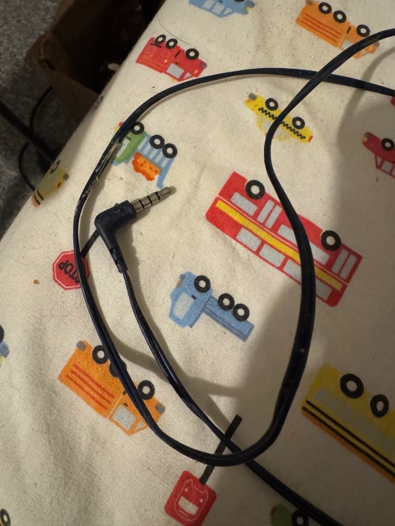 JBL Earphones wired
