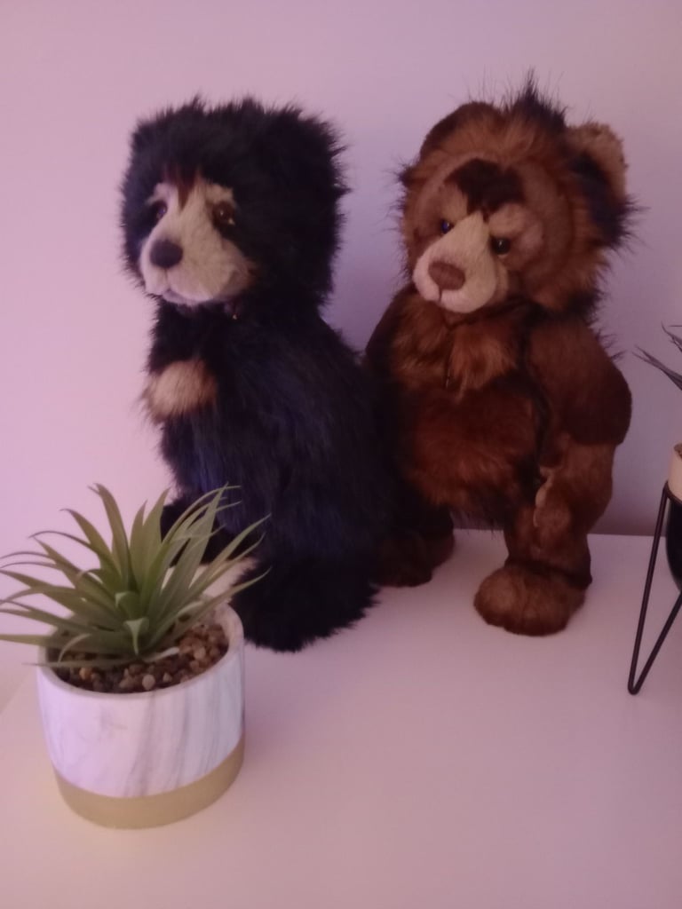 image for Two Charlie bears for sale 