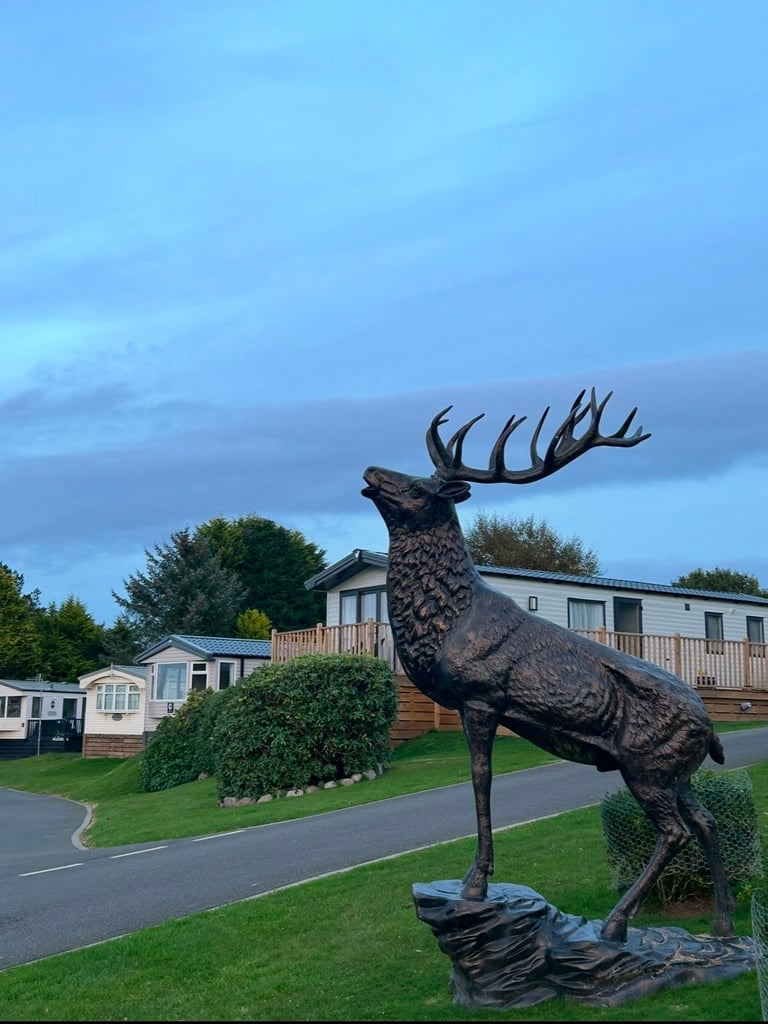 🌿 Holiday Rental, Coral Cabin, Swift Loire 3-Bed Static – Kippford Bay, Dumfries & Galloway 🌿