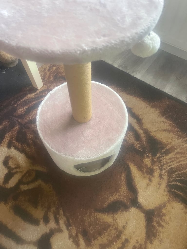 Cat scratcher 