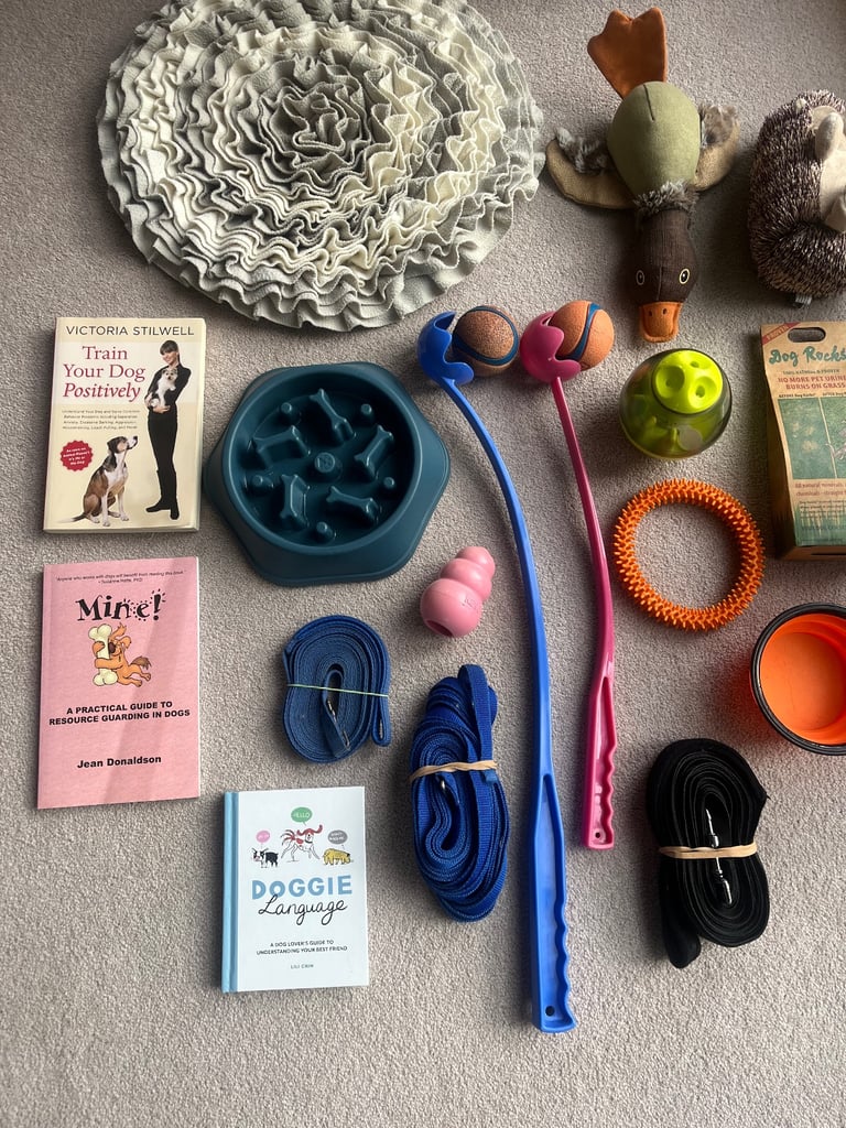 Puppy/dog bowl, toys, Kong, leads etc 