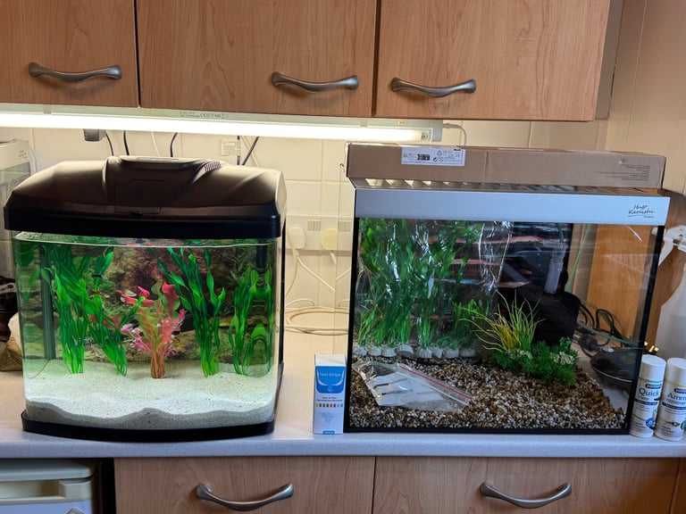 Hugo Aquarium