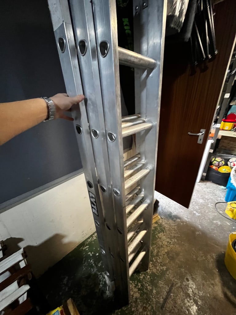 image for Lyte triple extension ladder
