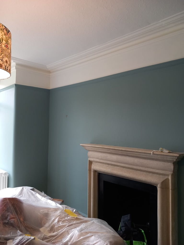 image for Professional painting & decorator