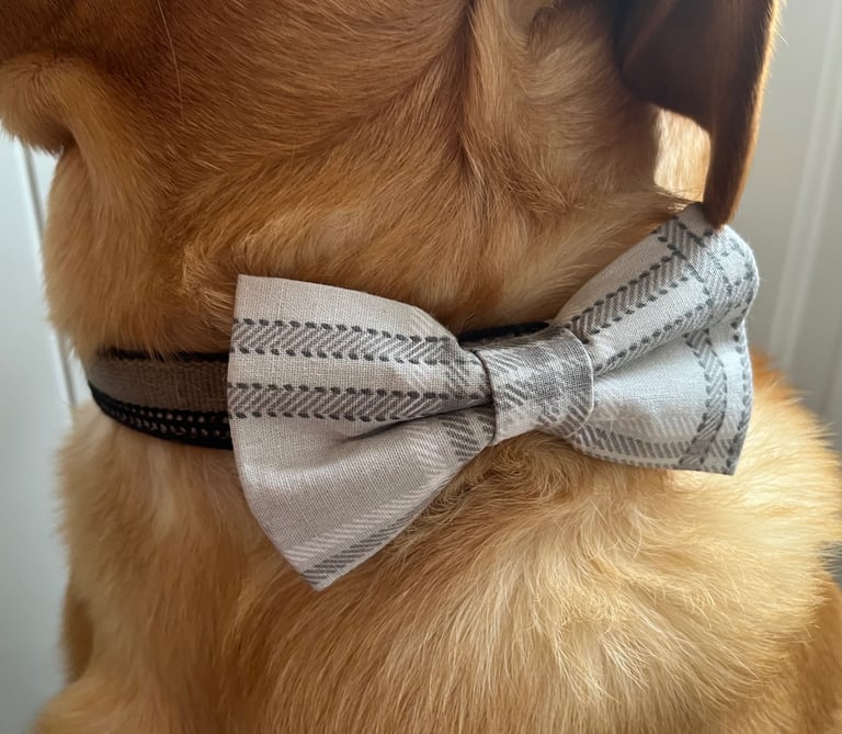 29 Dog Bow Ties