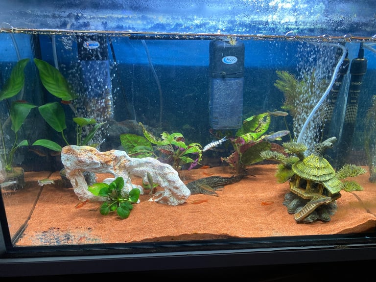 Fish tank for sale 85 litre 