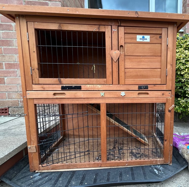 Guinea pig hutch 