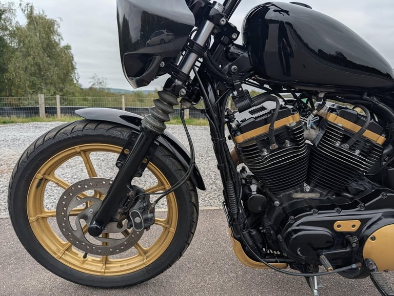 HARLEY-DAVIDSON SPORTSTER XL883N IRON