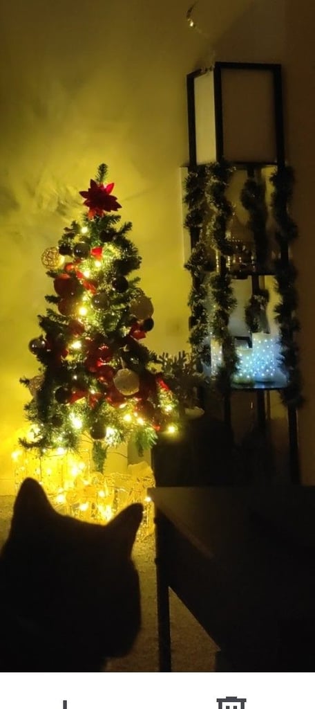 Free 4ft Christmas tree (not pre-lit) and accessories 