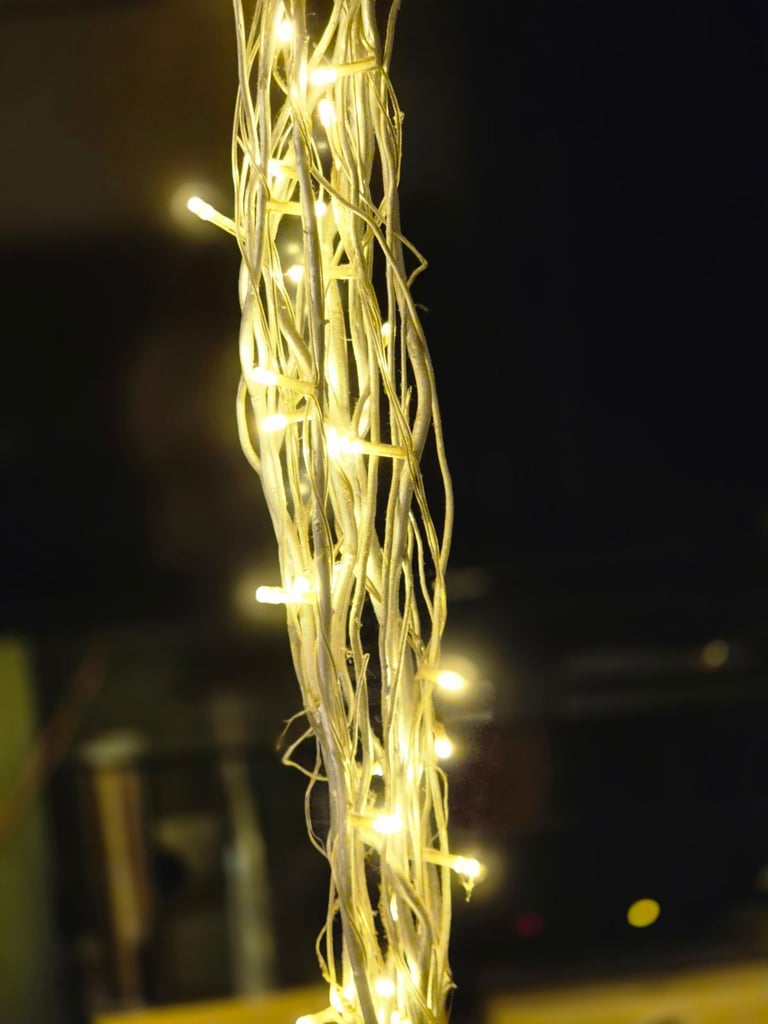 Twig like lights in a black vase x 2