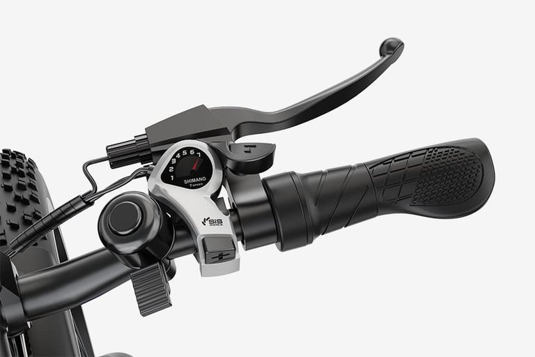 VARUN M26-2 PLUS is a rugged and powerful 26" Fat-Tire Mountain E-Bike