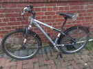 Raleigh jumping bike only £58