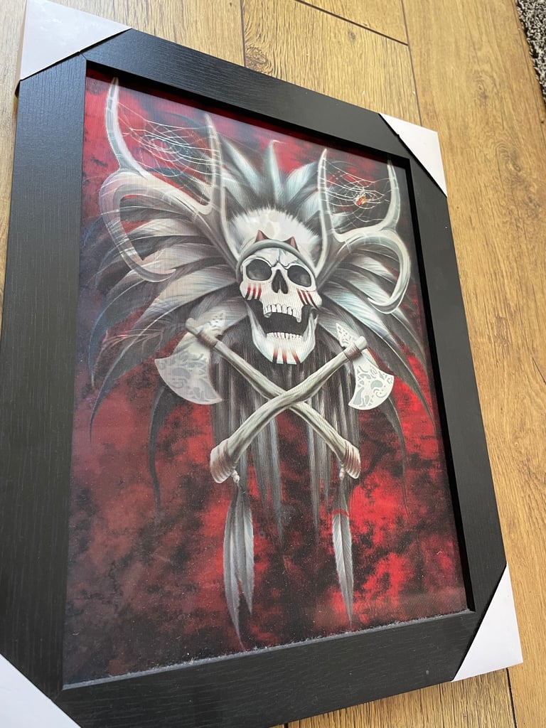 image for 2 framed 3D pictures 