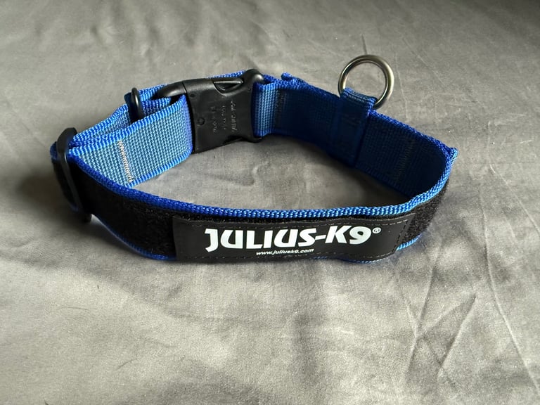 image for Julius-K9 dog collar