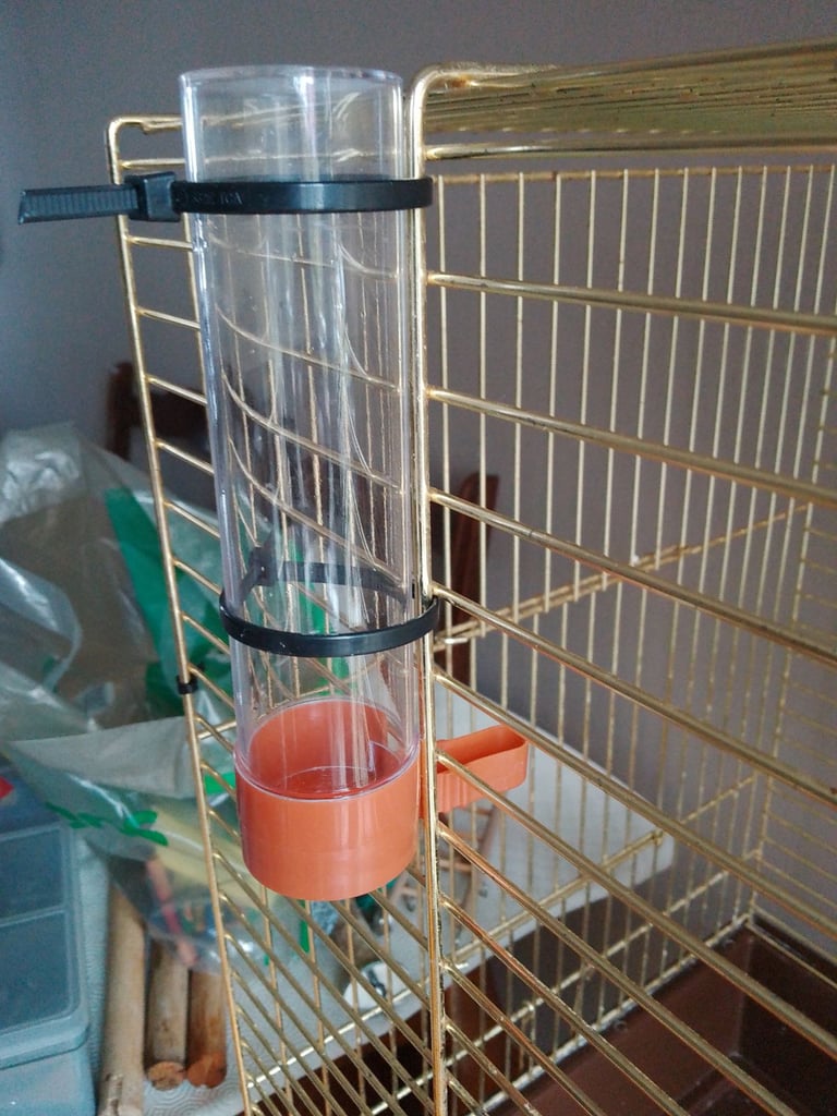Bird cage 