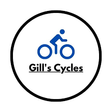 b  🚲🚲Serviced GAZELLE DUTCH City Bike 24 Speed XL Frame Hydraulic Brake Warranty Serviced🚲