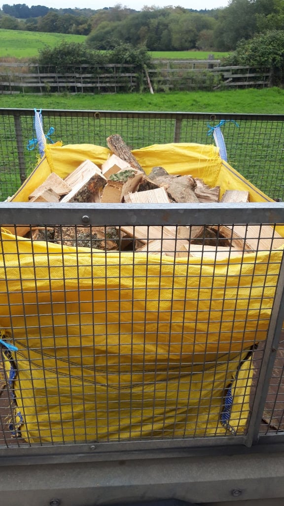 Logs for wood burner 