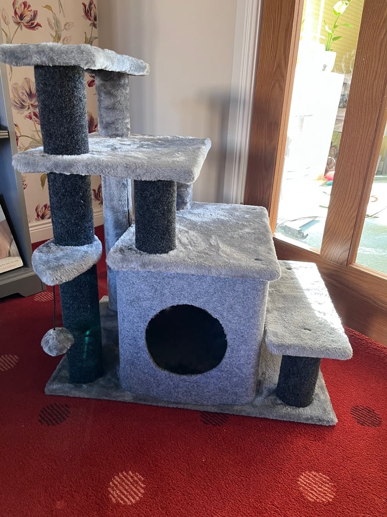 Cat Scratching Play Area 