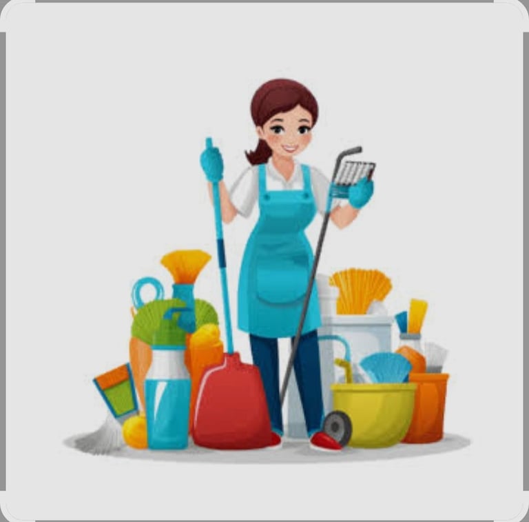 image for DOMESTIC CLEANER