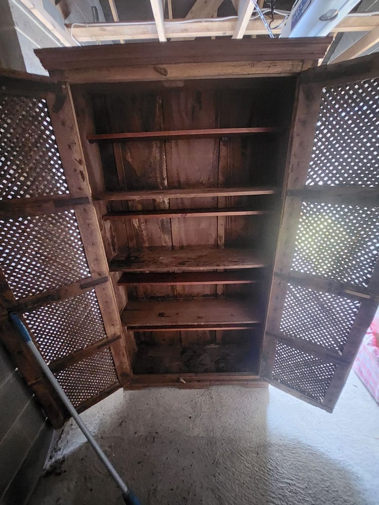 Vintage Indian armoire or storage cupboard