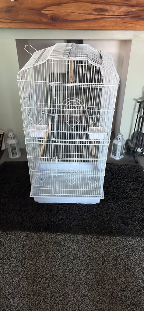 Bird cage