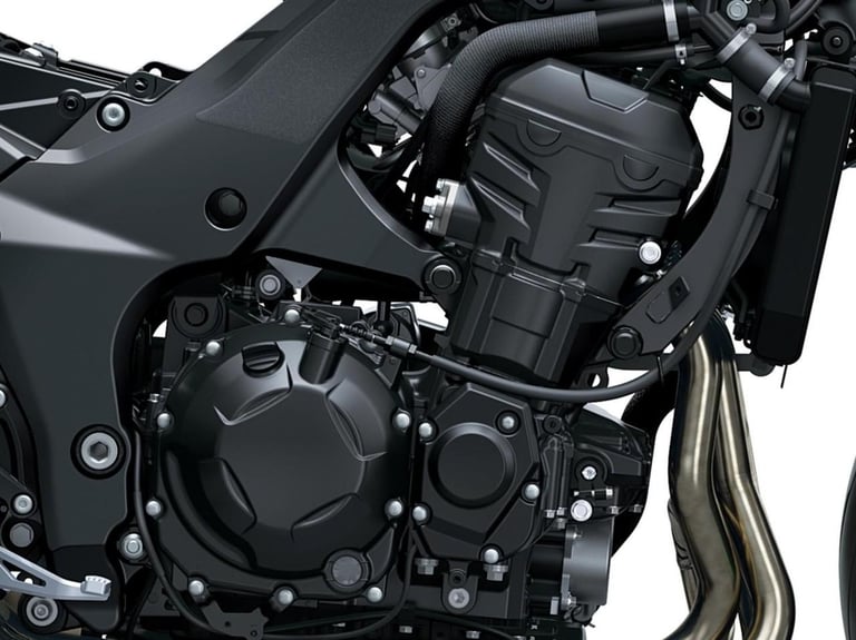 NEW 2026 Kawasaki Z1100 Motorcycle Due Jan Order Yours NOW!