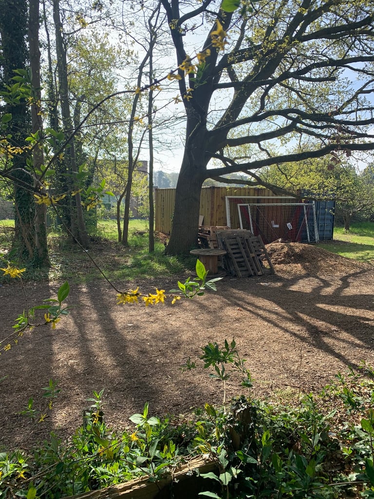 Free Pallets