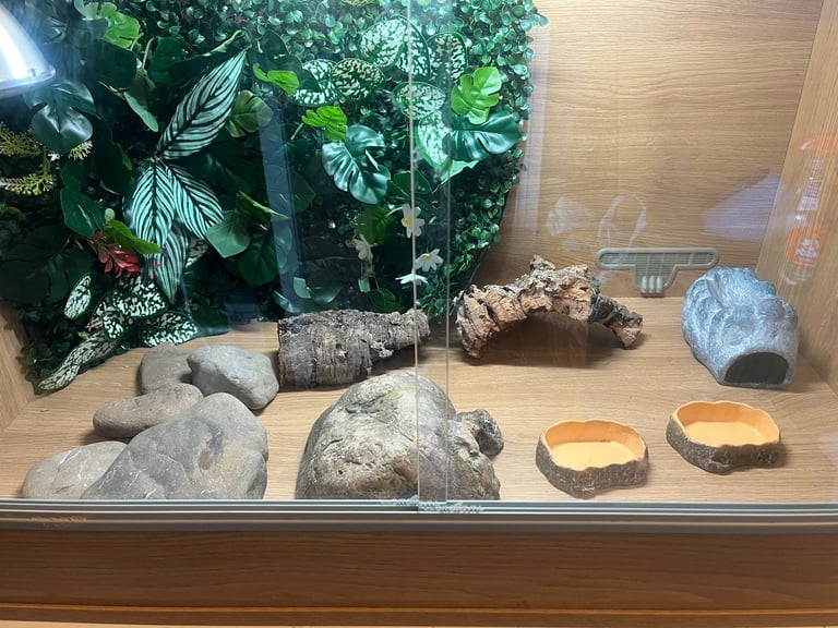FOR SALE reptile vivarium and equipment