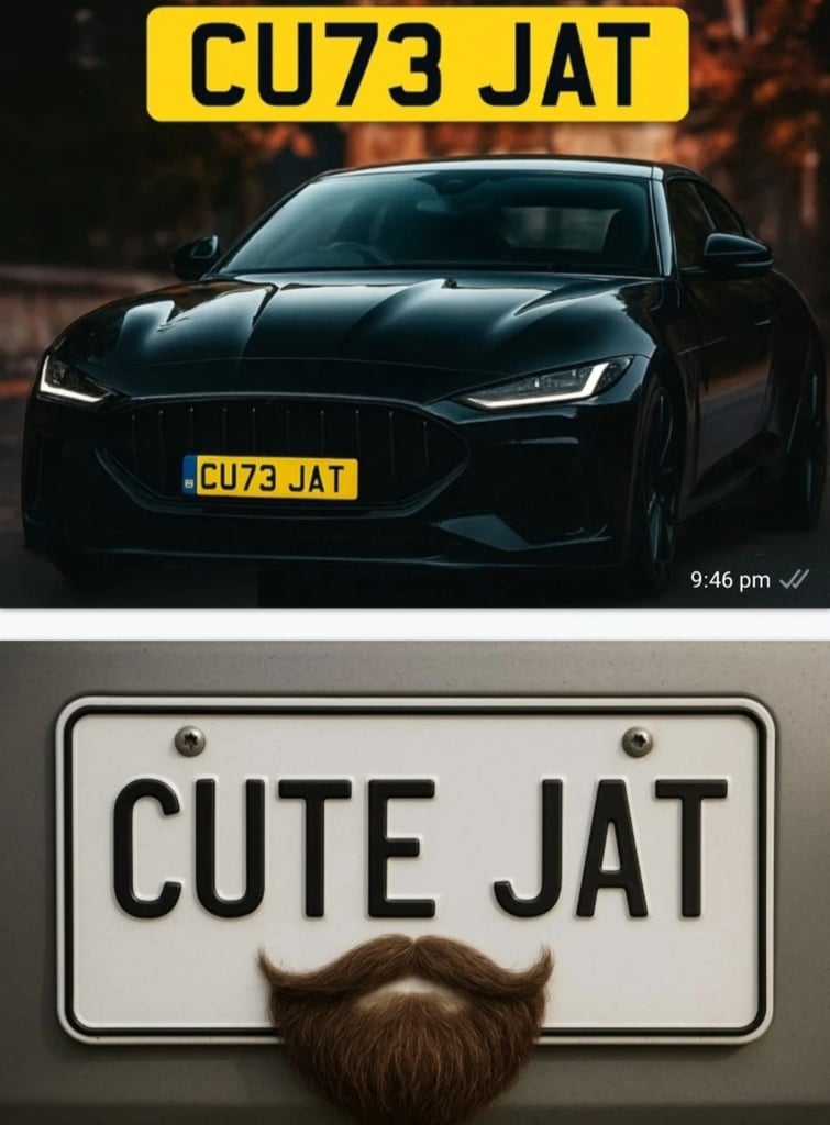 CUTE JAT Private Cherished Car Number Plate CU73 JAT To All The Jats Out There 