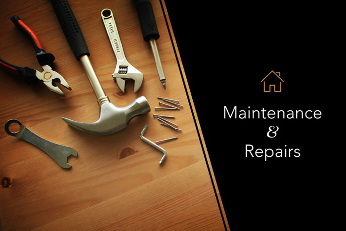 image for Professional Maintenance Service 