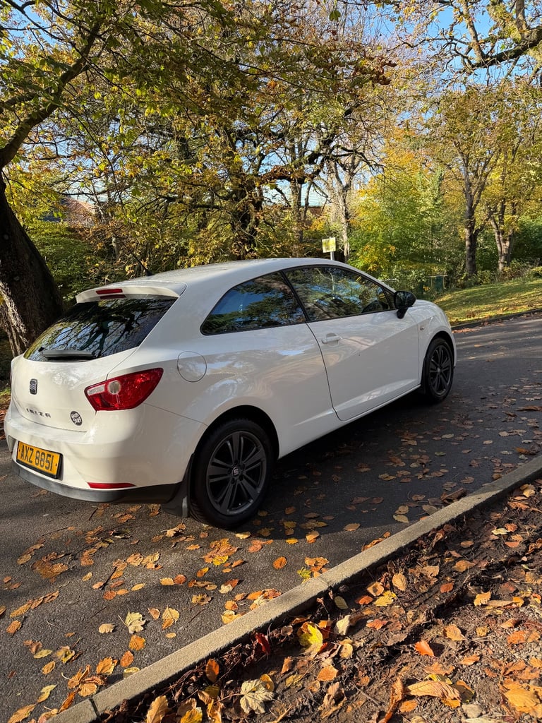 Seat Ibiza Good Stuff 2011 1.4 Petrol