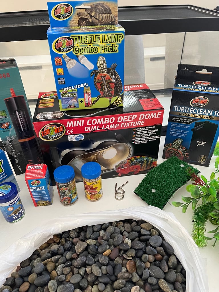 turtle to tropical fish tank