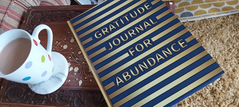 Gratitude Journal For Abundance 90 days (Hardcover) 