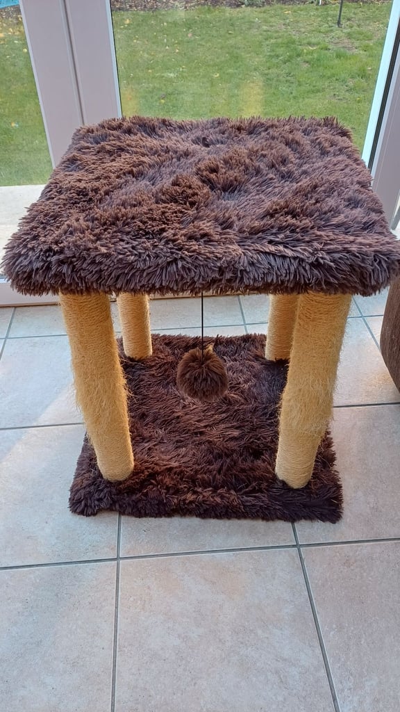 Cat beds, caves, blankets, grooming, scratch posts,litter tray