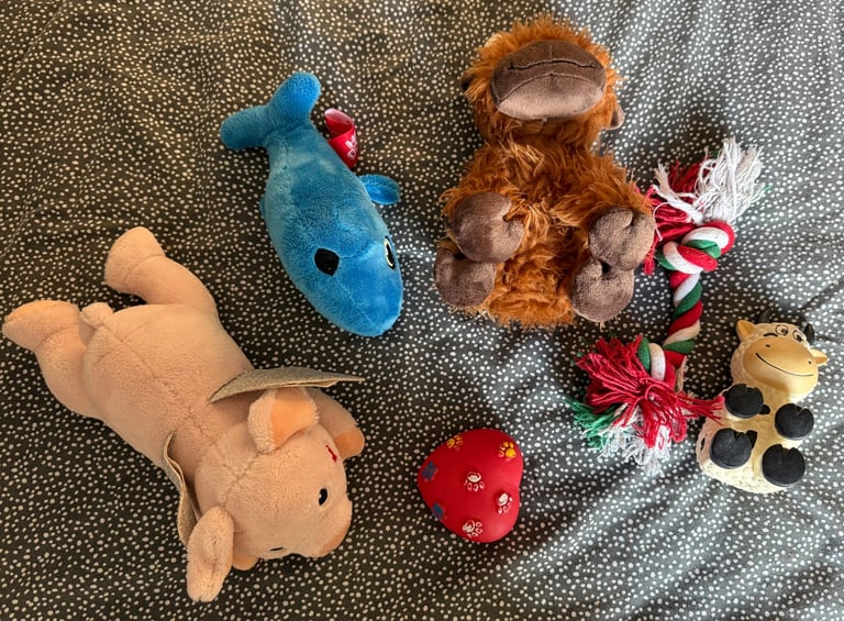 x6 Dog Toys