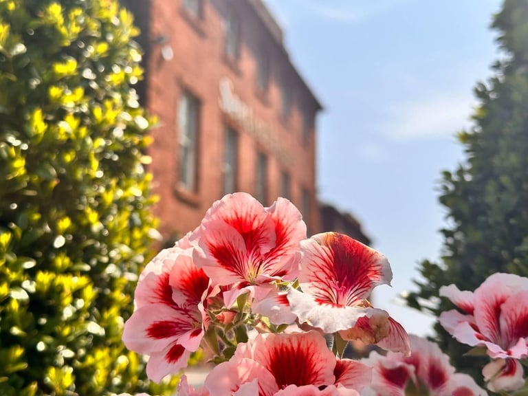 Willerby Mapleton Residential Lodge  in Angus  - Lodge / Caravan 