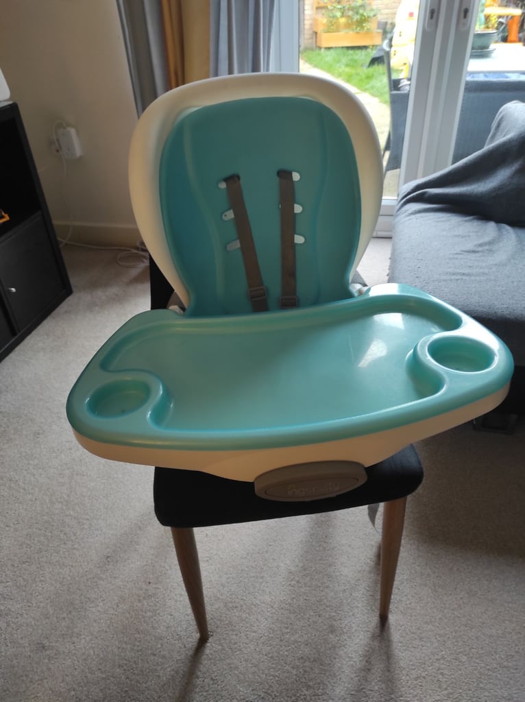 image for Ingenuity feeding seat