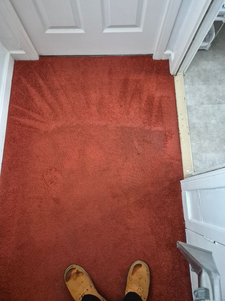Carpet cleaner