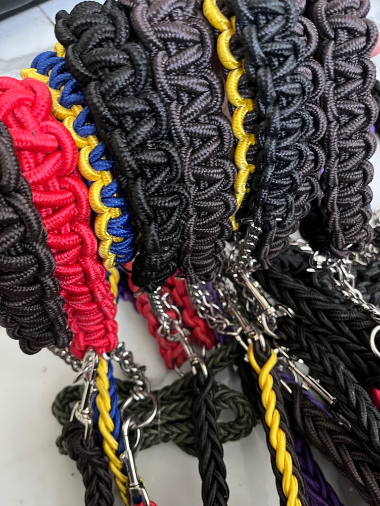 Bulk buy collar and leads 