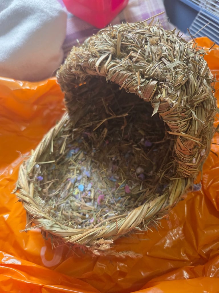 Hamster Starter Kit