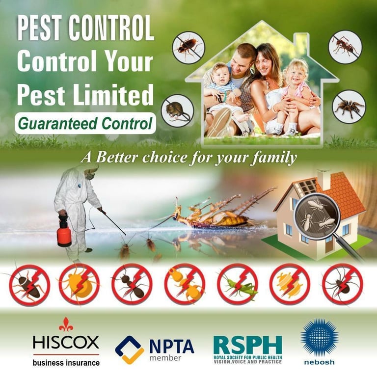 image for Pest Control Mouse Rat mice bedbugs insects Exterminator flies fleas wasps