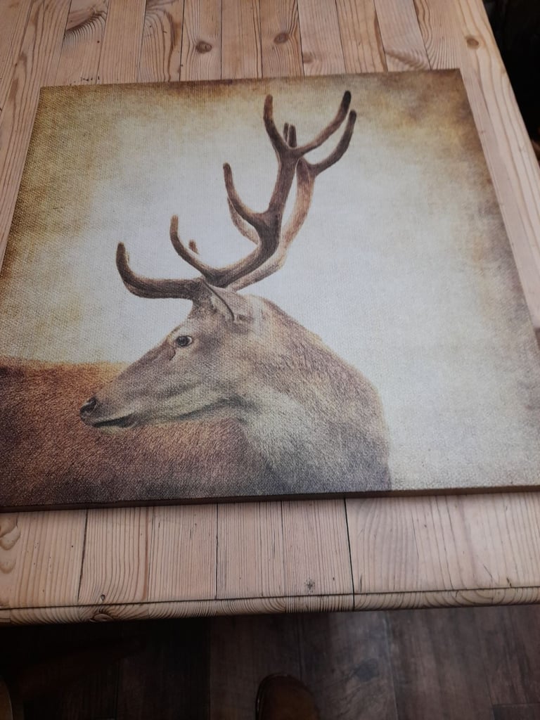 image for Stag canvas
