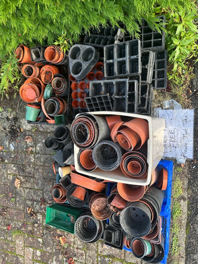 MORE FREE plant pots and seed trays. 
