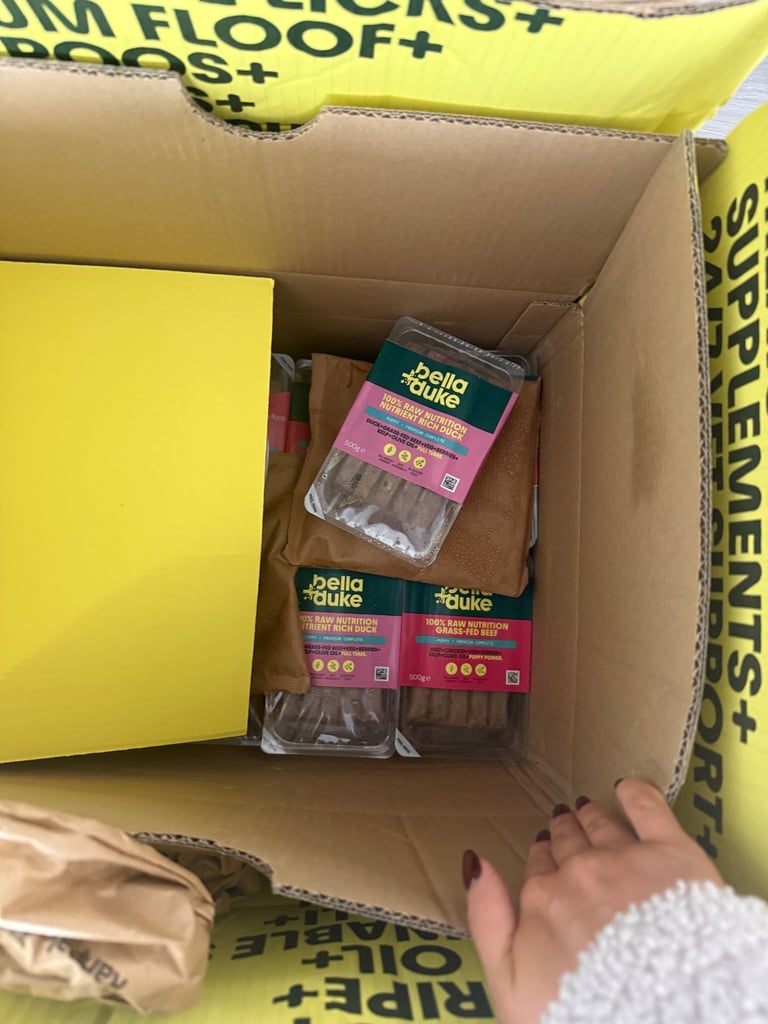 Labradoodle for sale - serious buyers only 