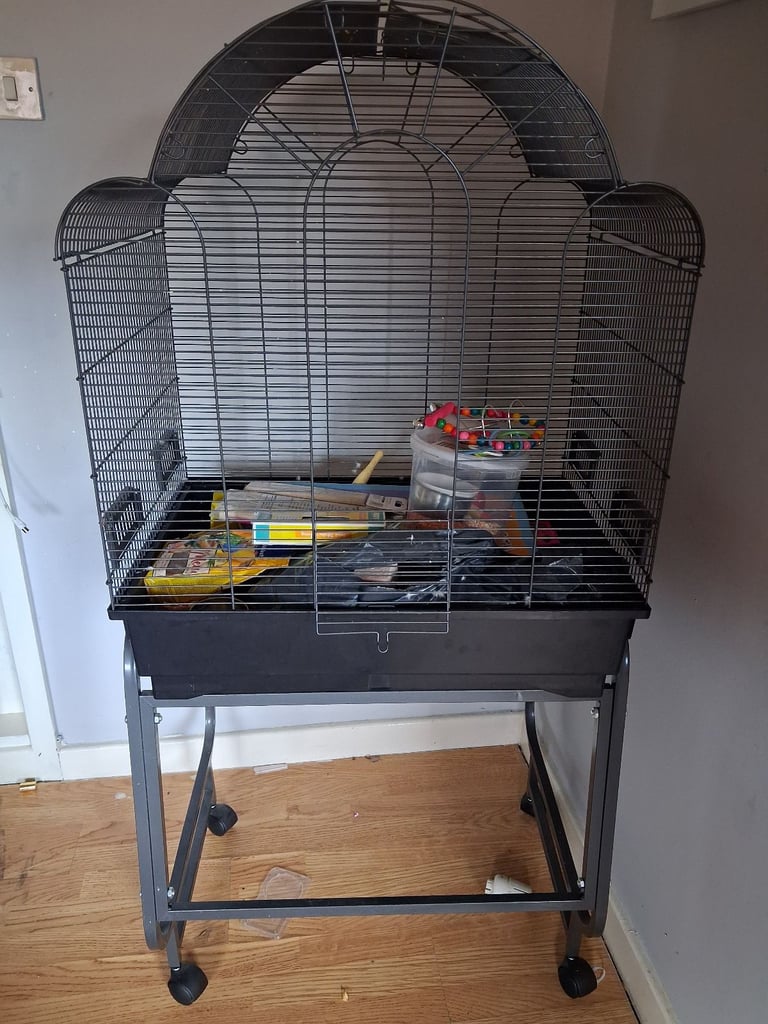 Bird cage with stand, foid,toys,treats,assessories 