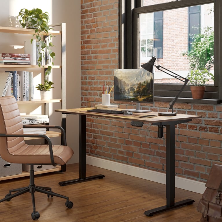 FEZiBO Standing Desk + Optional IKEA Chair Bundle 🖤