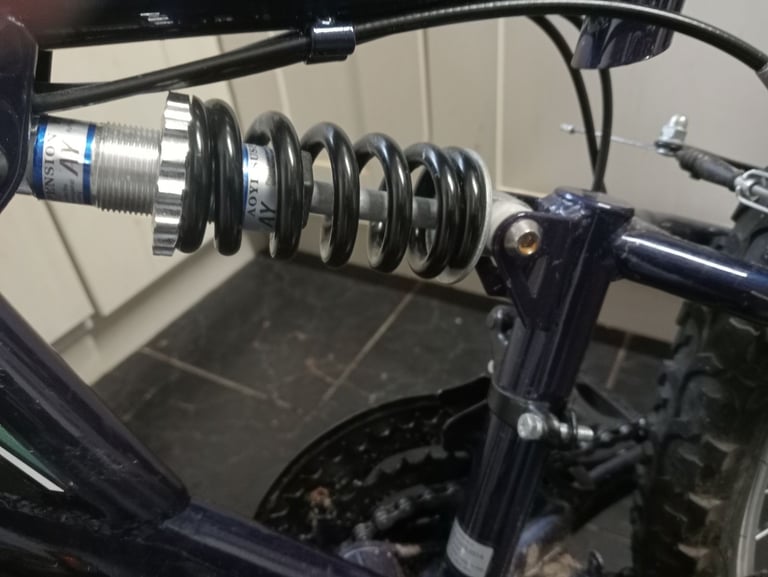 Arden Peak Mountain Bike