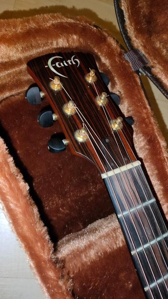 Faith - Guitar and Case Semi Acoustic