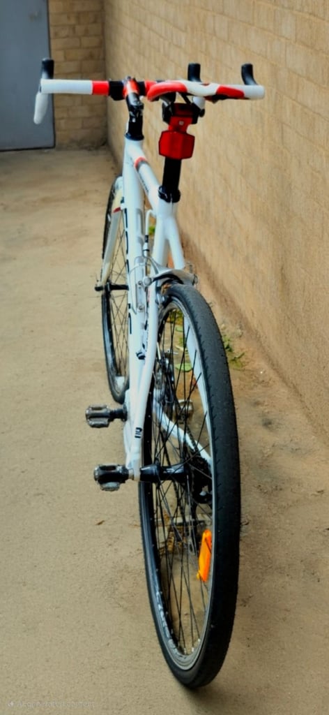 FOCUS VARIADO TIAGRA GROUPSET ROAD BIKE MD TO LG FRAME 